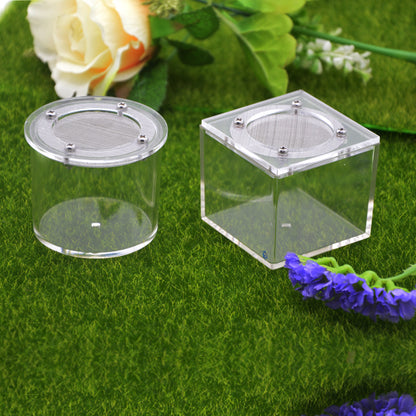Akryl Insektbox med Nätlock för Spindlar & Små Insekter