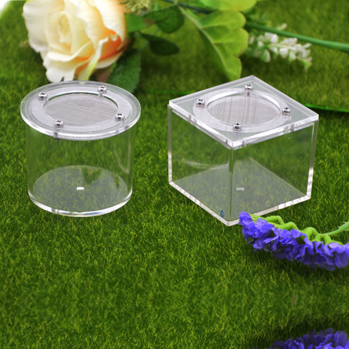 Akryl Insektbox med Nätlock för Spindlar & Små Insekter