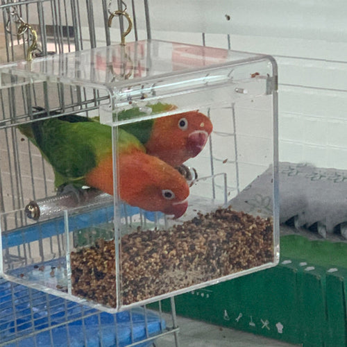 Acrylic Bird Feeder – Transparent Matlåda för Fåglar