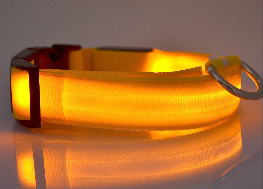 Nylon LED Hundhalsband – Säkerhet & Synlighet i Mörker