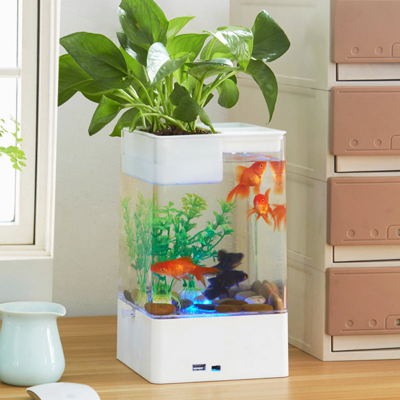Skrivbordsakvarium med Växtodling