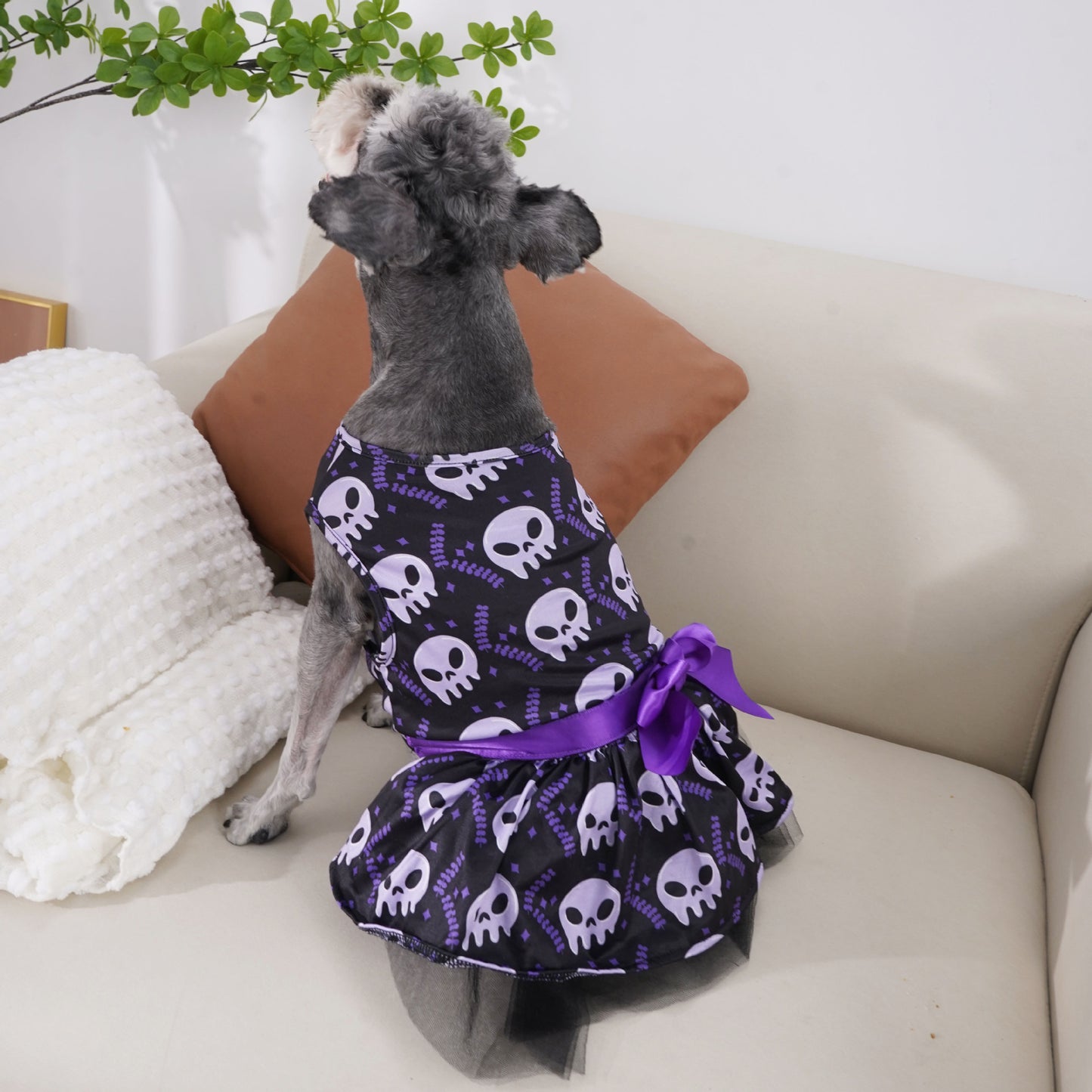 Halloween Hundklänning