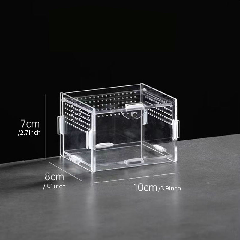 AkrylTerrarium för Spindlar & Små Kräldjur