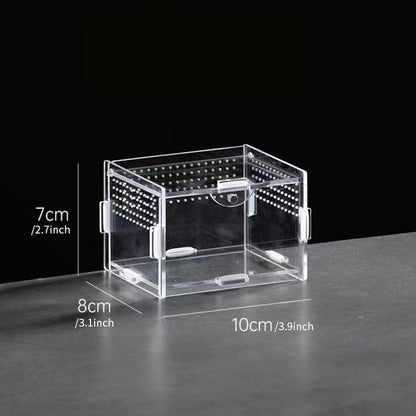 AkrylTerrarium för Spindlar & Små Kräldjur