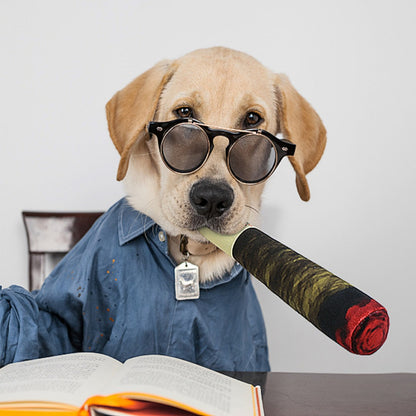 Rolig Cigarr Hundleksak med Ljud