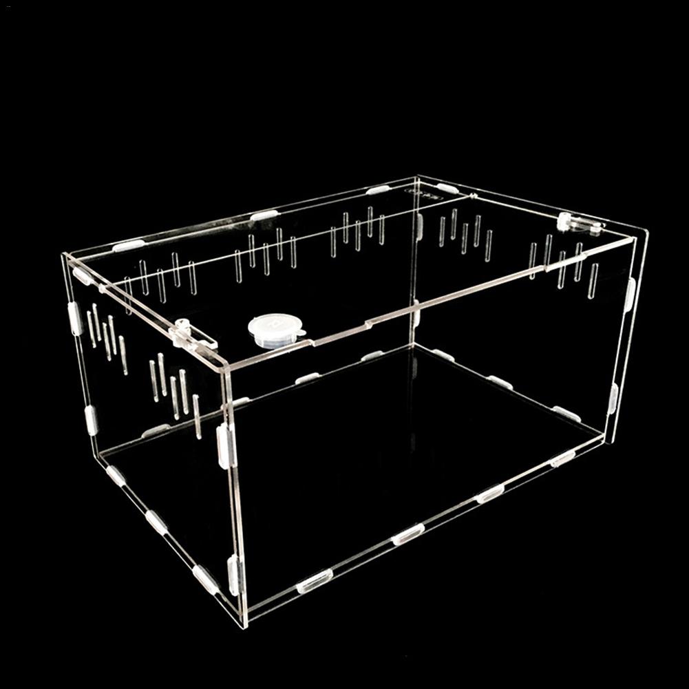 Akryl terrarium för Spindlar & Små Kräldjur