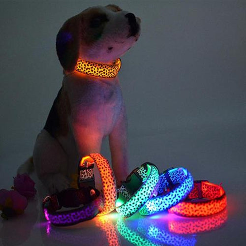 Lysande Hundhalsband LED