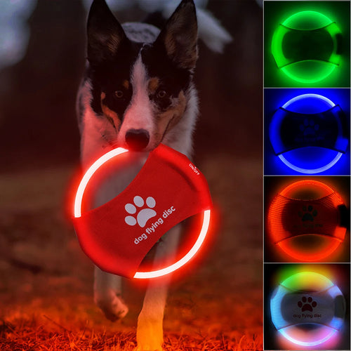 LED Lysande Hundfrisbee