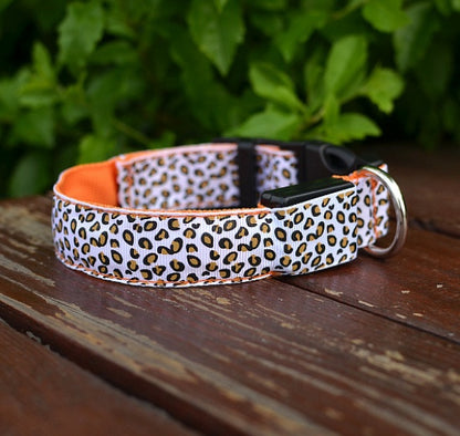Lysande Hundhalsband LED