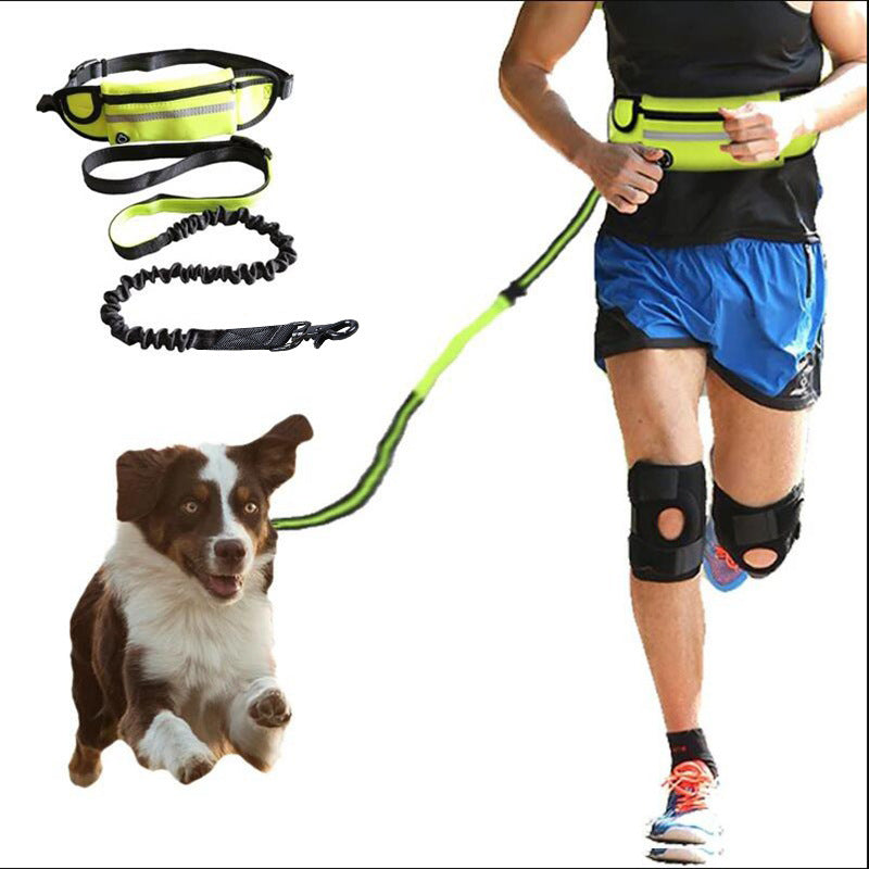 Handsfree Löpbälte med Elastisk Hundlina