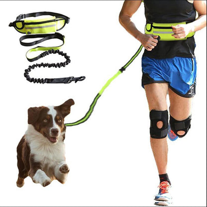 Handsfree Löpbälte med Elastisk Hundlina
