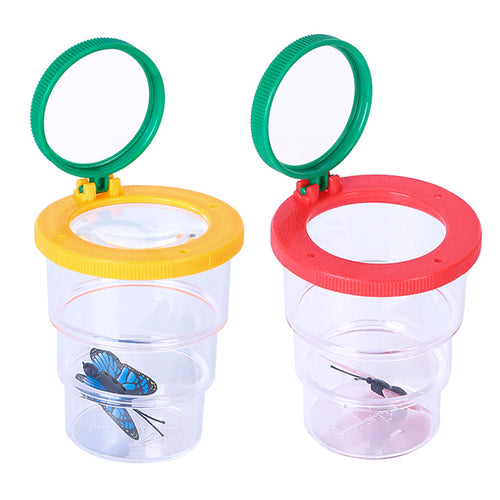 Observationsbox med Förstoringsglas för Spindlar & Insekter