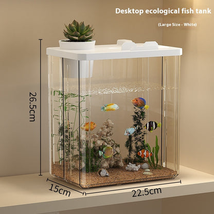 Litet Akvarium med Lock