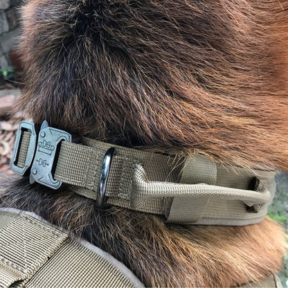 Taktiskt Hundhalsband i Nylon