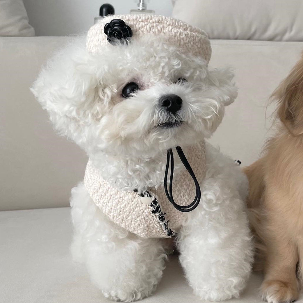 Stickad Hatt för Hund & Katt