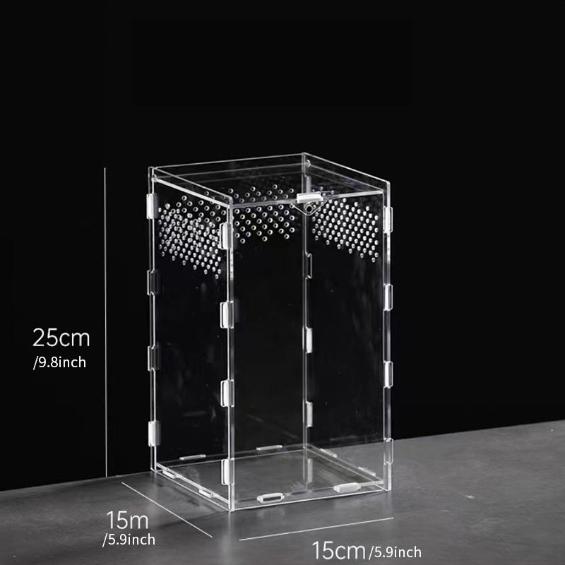 AkrylTerrarium för Spindlar & Små Kräldjur