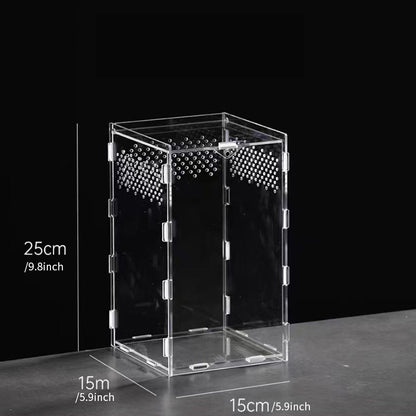 AkrylTerrarium för Spindlar & Små Kräldjur