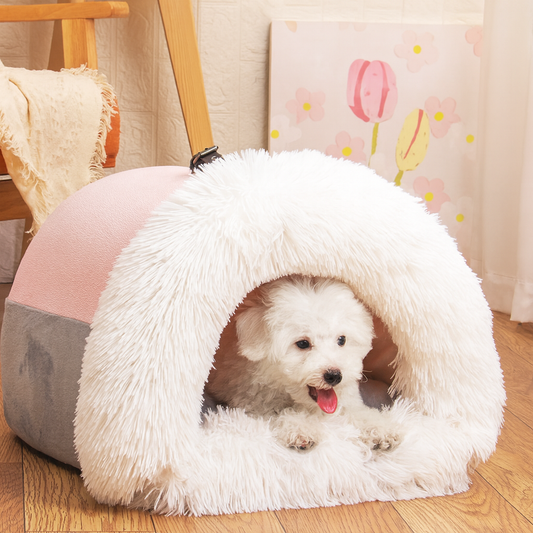 Bädd för Hund & Katt - Bruno