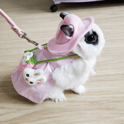 Kaninsele med Klänning och Koppel