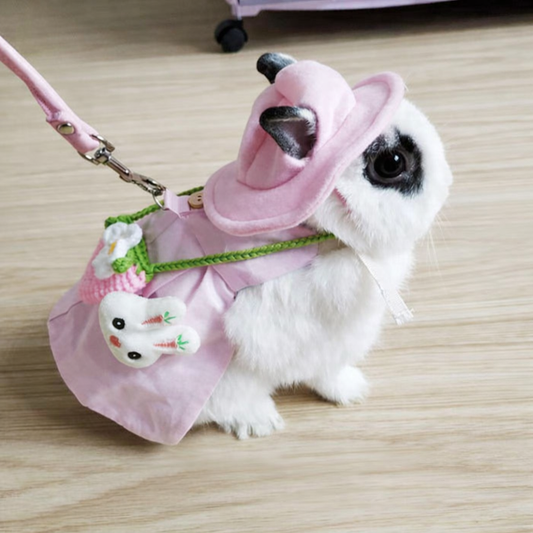 Kaninsele med Klänning och Koppel