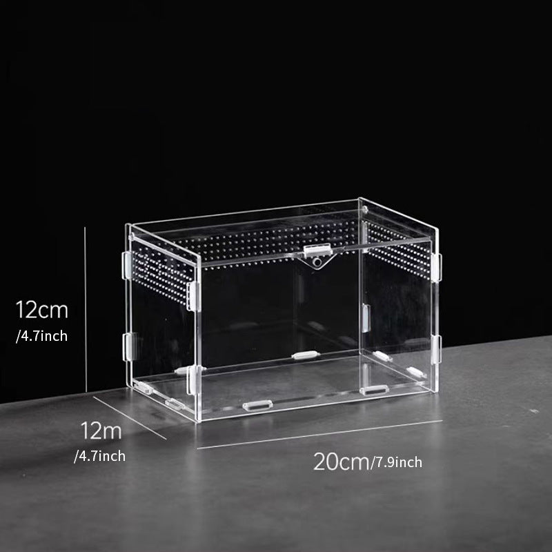 AkrylTerrarium för Spindlar & Små Kräldjur