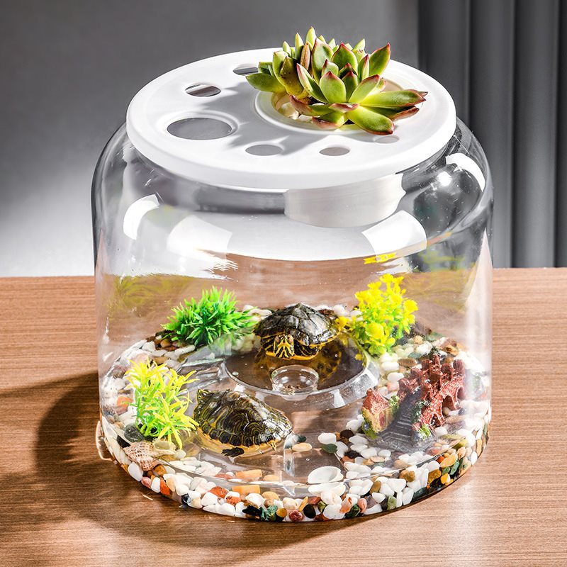 Mini Akvarium med Lock – Skrivbordsmodell