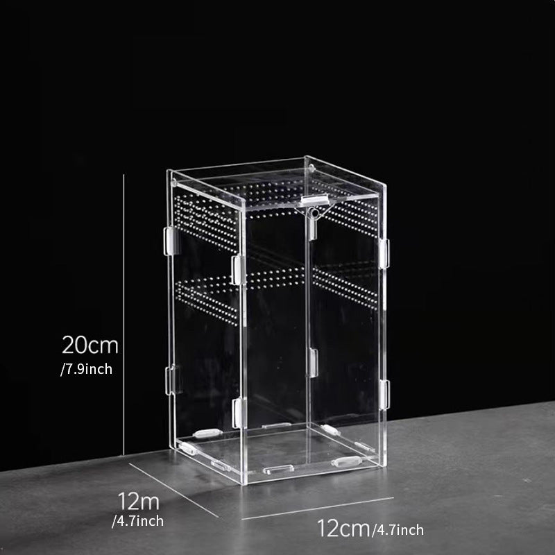 AkrylTerrarium för Spindlar & Små Kräldjur