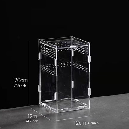 AkrylTerrarium för Spindlar & Små Kräldjur