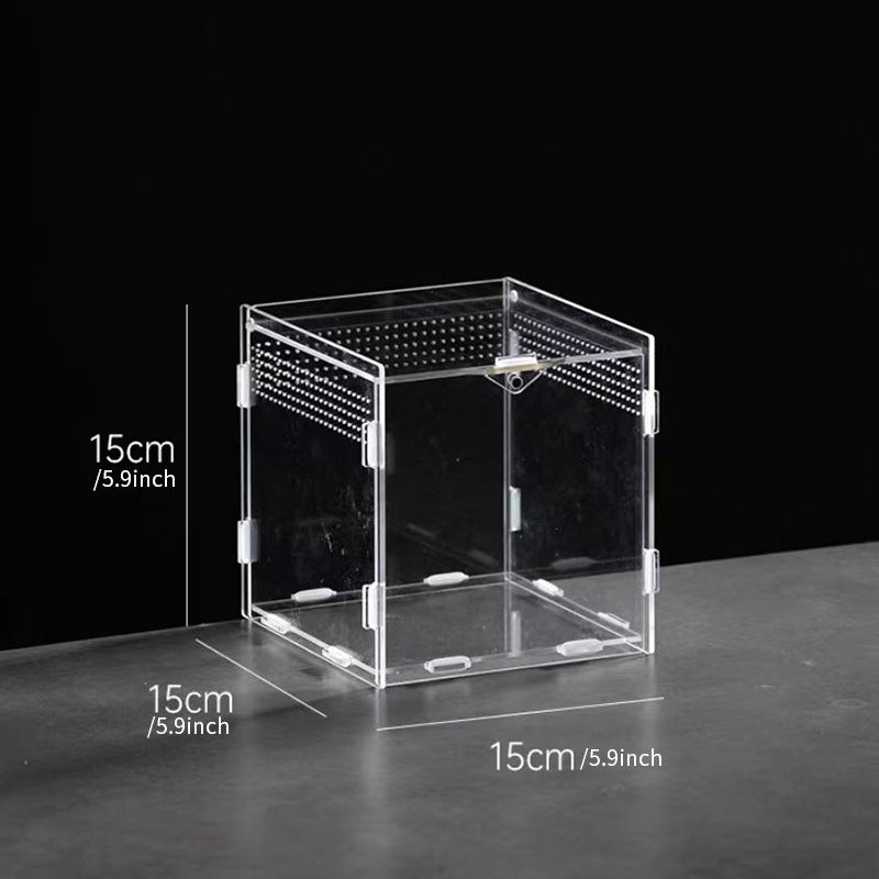 AkrylTerrarium för Spindlar & Små Kräldjur