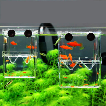 Trygg Yngelbox för Akvarium