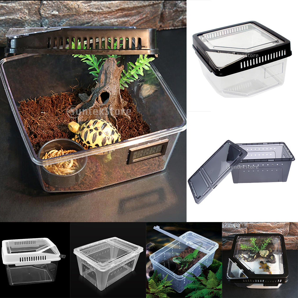 Ventilerad Plastbox för Spindlar & Små Insekter
