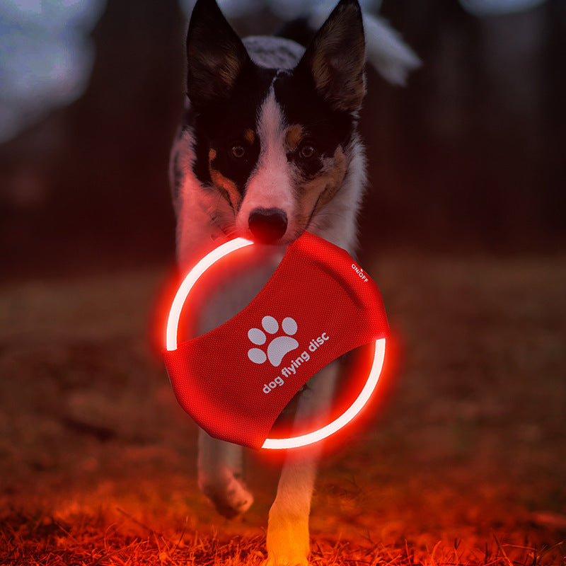 LED Lysande Hundfrisbee