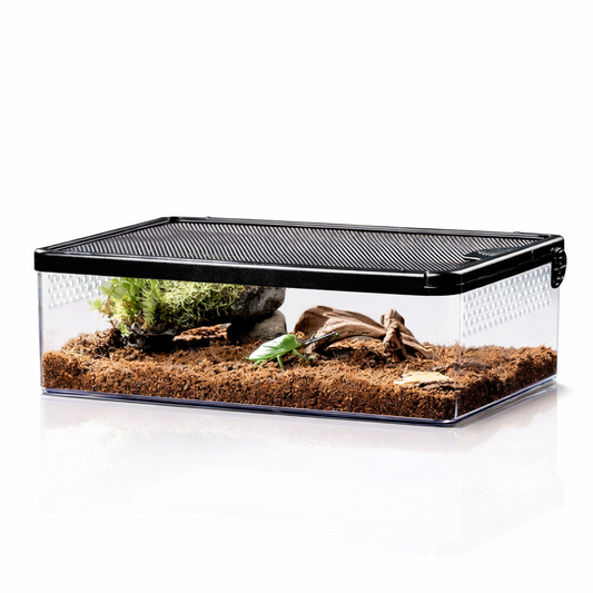 ClearView Terrarium Crawler Box för Spindlar & Smådjur