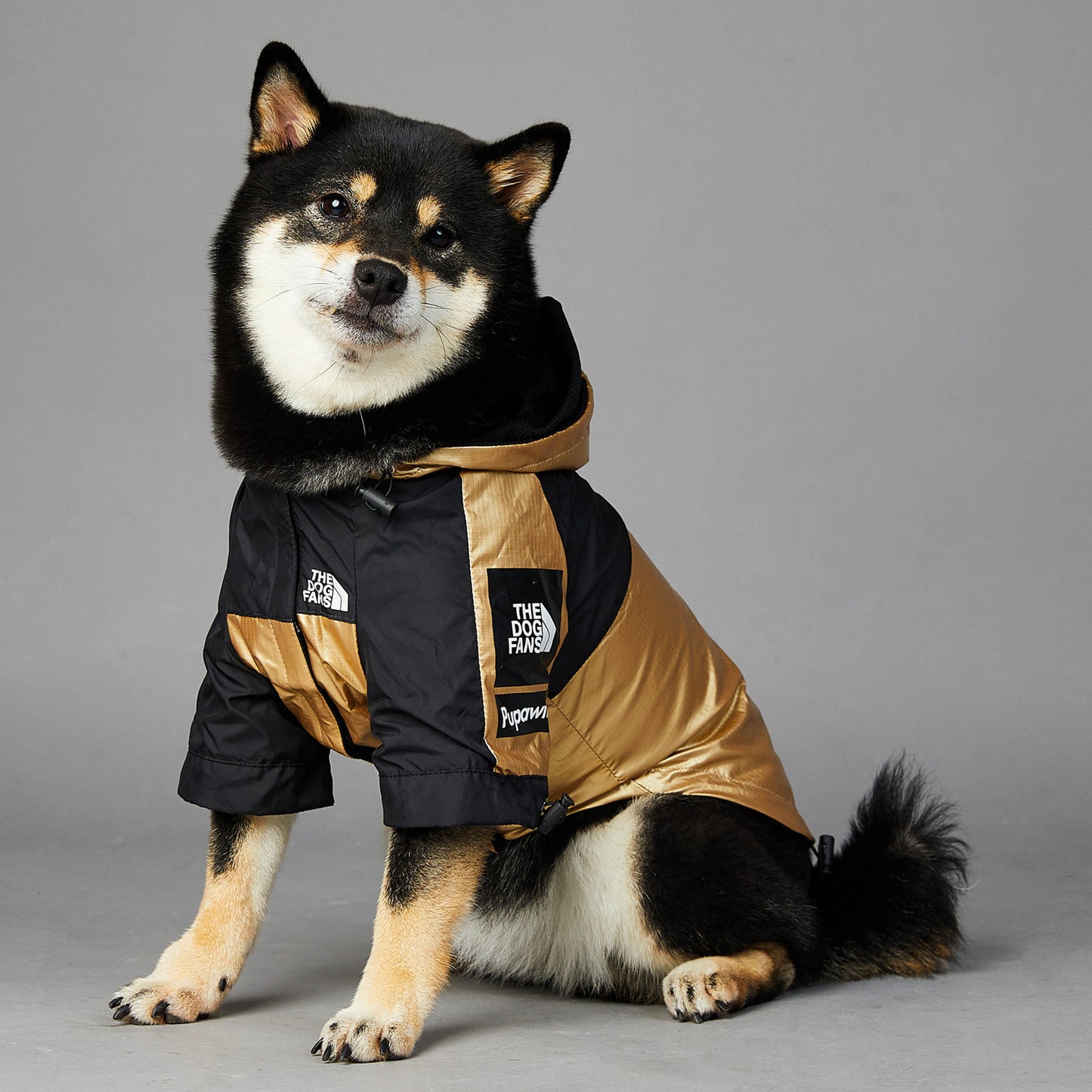 Regnjacka För Hund – Guld