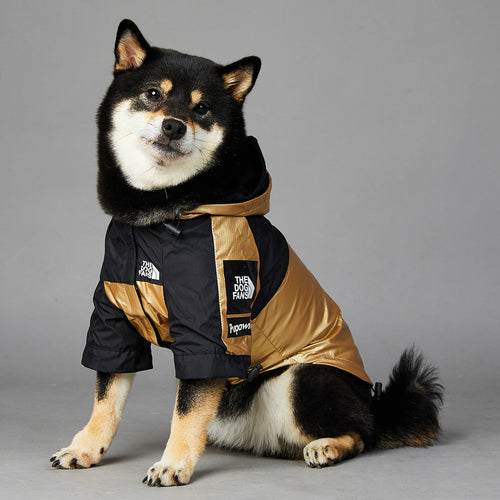 Regnjacka För Hund – Guld