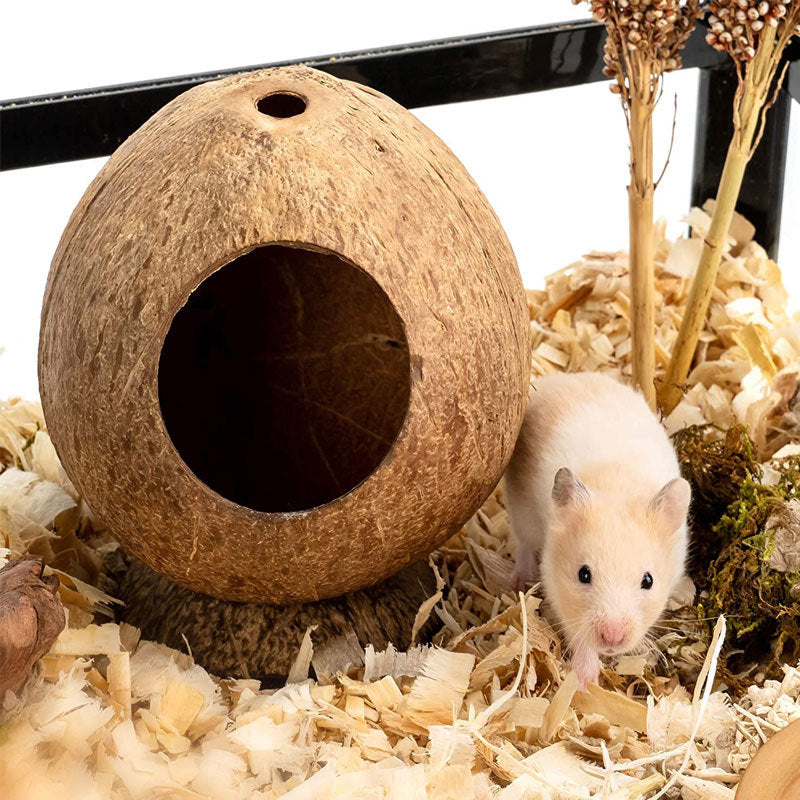 Kokoshus för Hamster