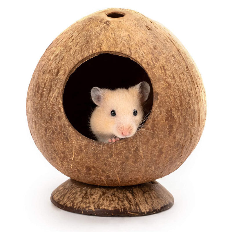 Kokoshus för Hamster