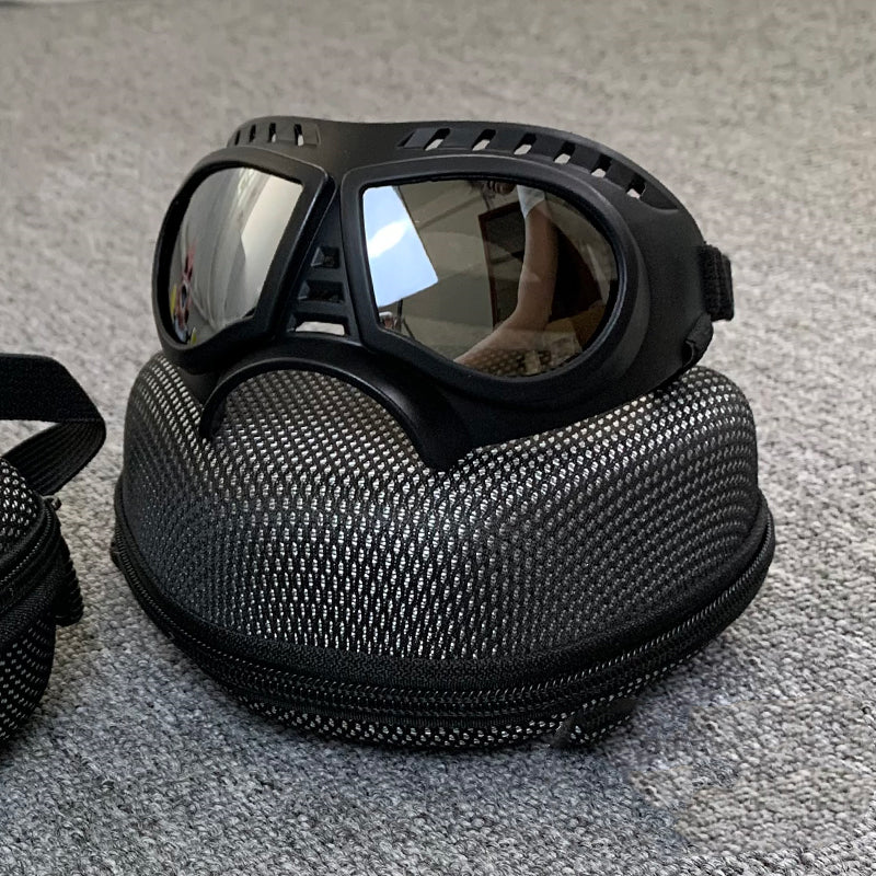 Skyddsglasögon för Hund