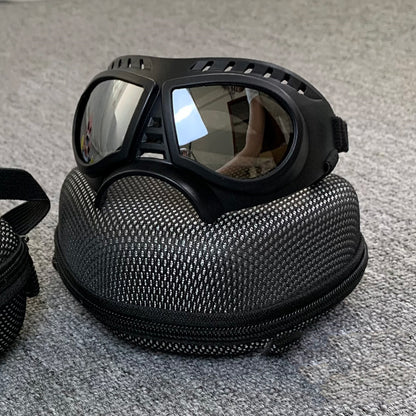 Skyddsglasögon för Hund